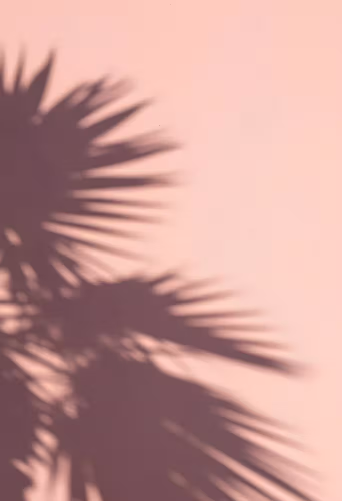 Fondo con silueta de hojas de sombras proyectadas